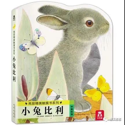 瓶盖配配对小班科学教案_生活技能瓶盖配对目标_瓶盖配对案例分析
