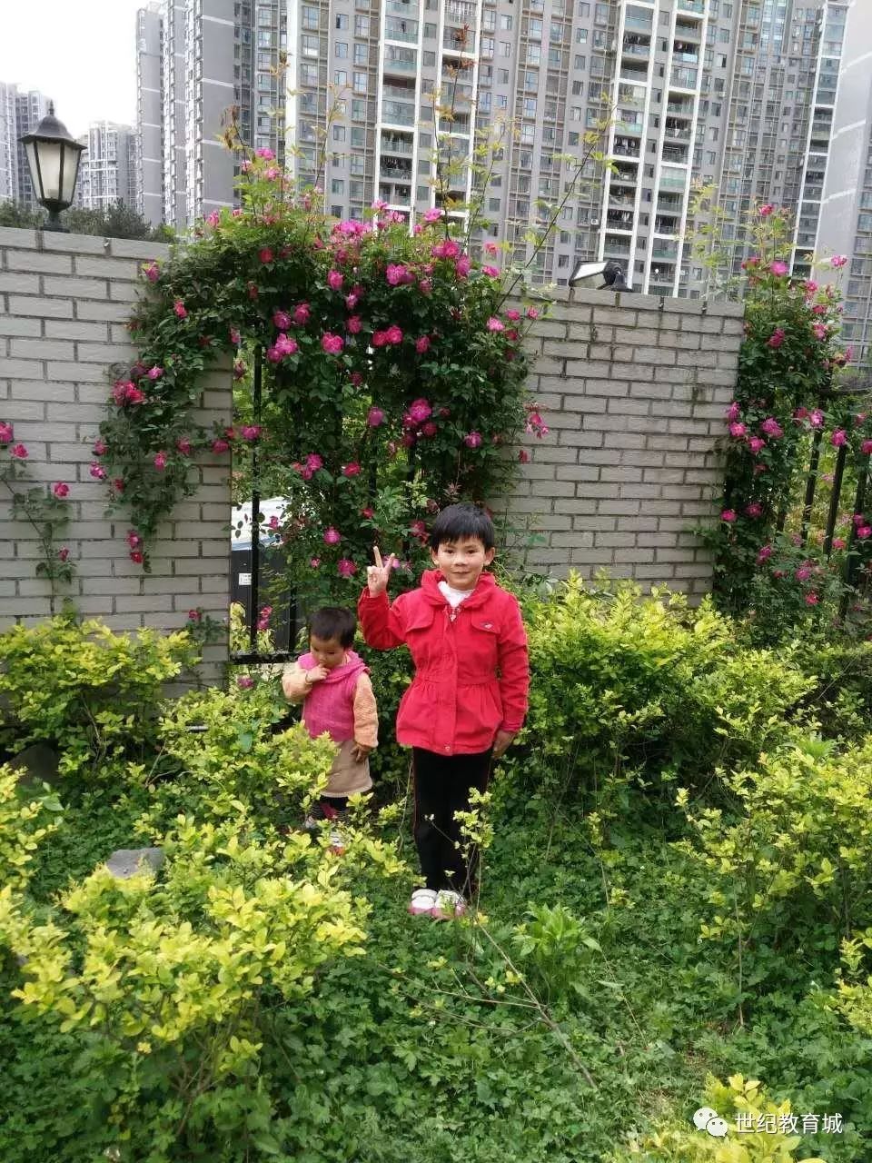 生活小窍门节目主持学生_生活类节目主持注意事项_主持生活小妙招开头语