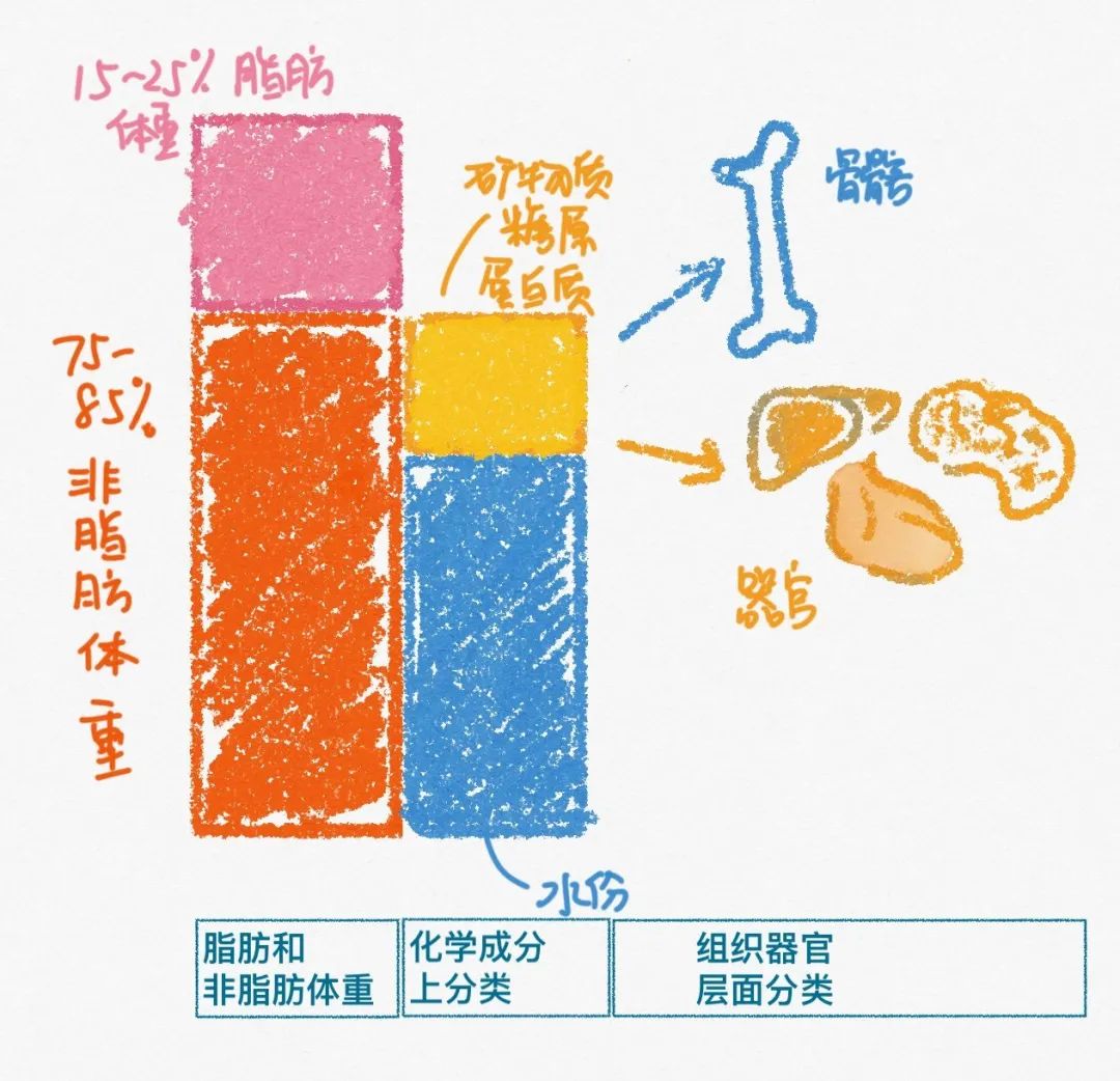 健身营养补给_营养物质健身有哪些_健身三大营养物质