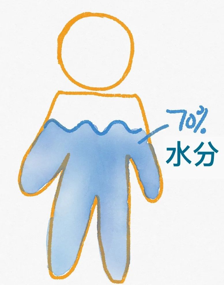 营养物质健身有哪些_健身三大营养物质_健身营养补给