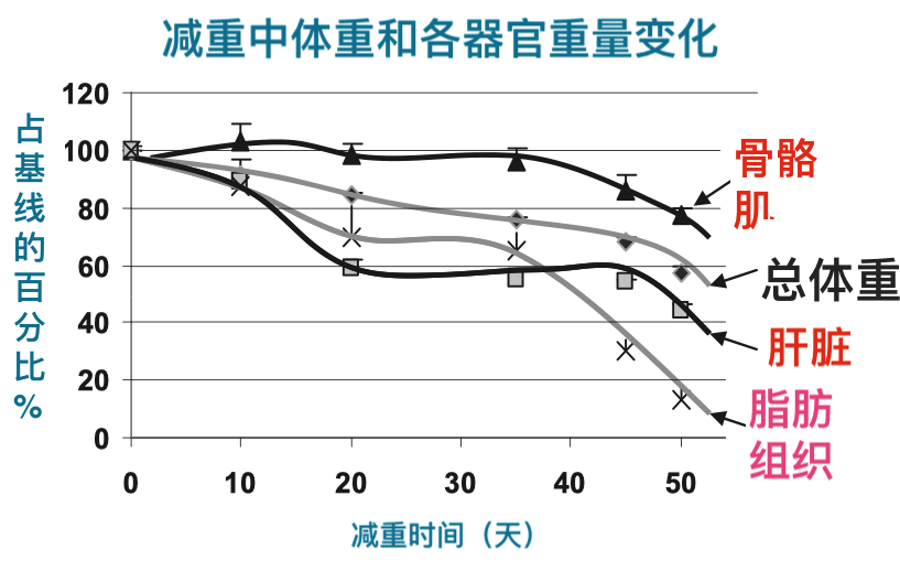 营养物质健身有哪些_健身营养补给_健身三大营养物质