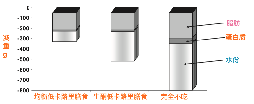 健身三大营养物质_营养物质健身有哪些_健身营养补给
